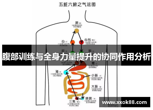 腹部训练与全身力量提升的协同作用分析