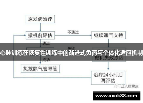 心肺训练在恢复性训练中的渐进式负荷与个体化适应机制 心肺训练在恢复性训练中的渐进式负荷与个体化适应机制
