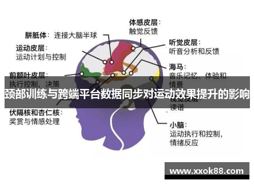颈部训练与跨端平台数据同步对运动效果提升的影响 颈部训练与跨端平台数据同步对运动效果提升的影响